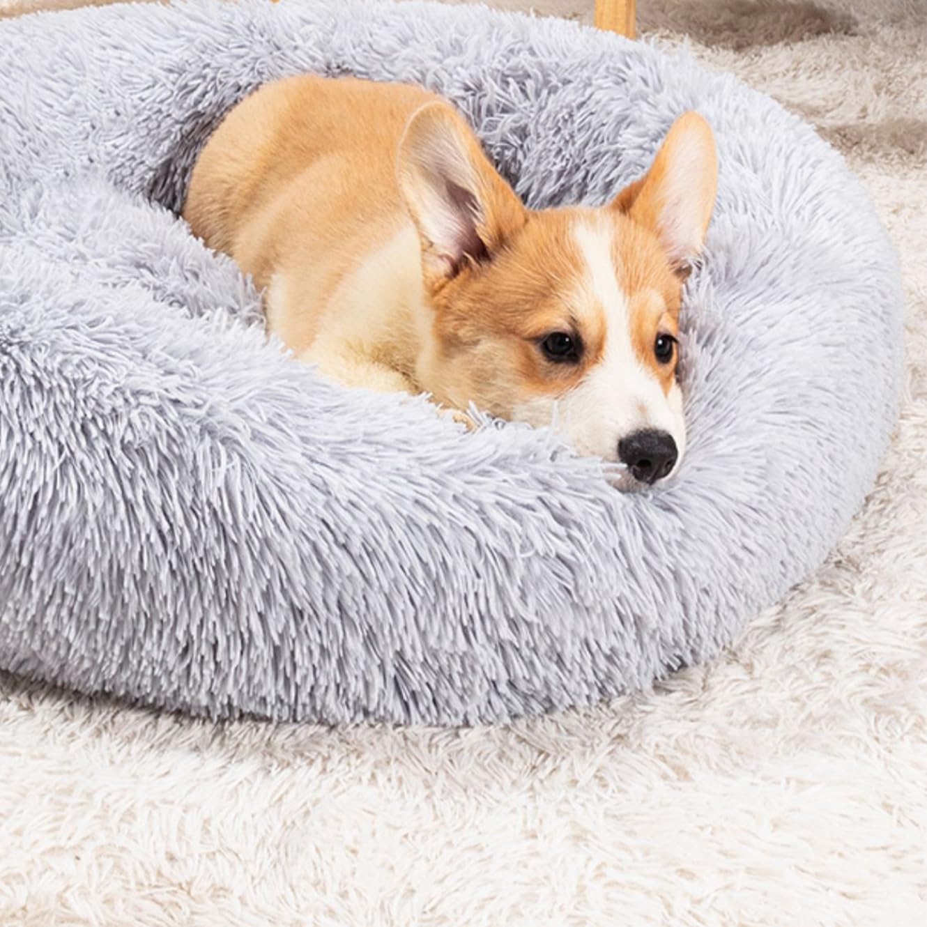 Cuccia Cane Gatto Rotondo da Ciambella Soffice Pelliccia Sintetica di Peluche Letto Per Cani e Gatti [S, Ø40 cm] Cuccia per Cane Gatto con Fondo Resistente All'acqua e Antiscivolo