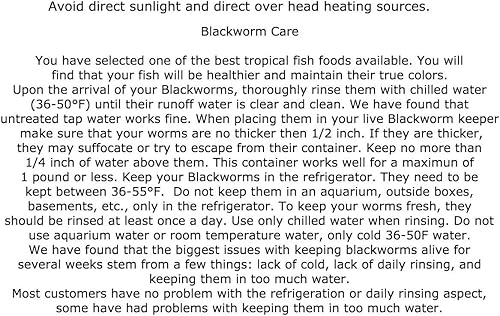 2022 Live Blackworms Box Keeper Wormbox Stackables Discus Altums Tropical Fish Worm Container Food Supplies Pet, Seafood, 9.59 Ounces