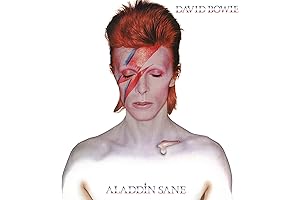 Aladdin Sane 2013
