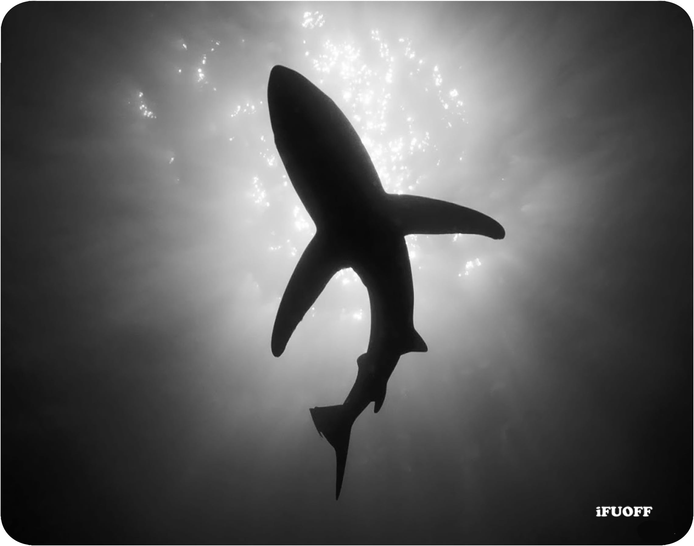 Animal Design Shark Silhouette Mousepad Rubber Mouse Pad 220mm x 180mm