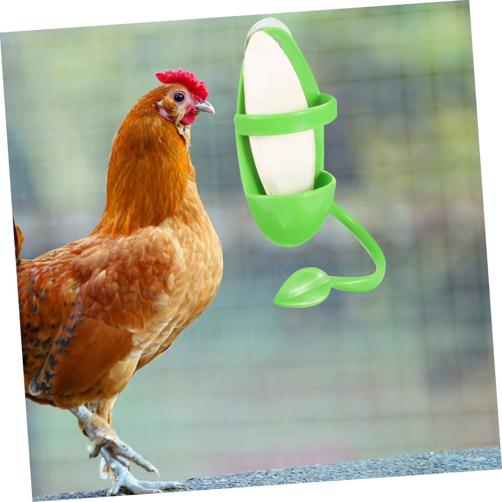 Mipcase 5ensembles Mangeoire Suspendue pour Oiseaux avec Support De Seiche Accessoire Pratique pour Perroquets Perruches Et Autres Oiseaux pour Fruits Et Légumes