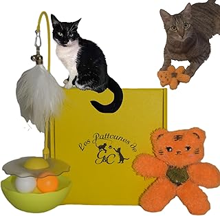 Jouet Chat Interactif 2 pièces - Boîte Duo Spéciale Jeu - Peluche Herbe à Chat - Chaton- Intérieur - Stimulant