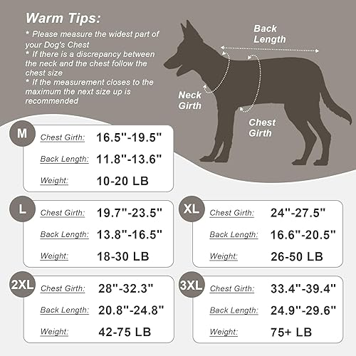 Miniatura 10 de Jiupety Traje para perro para recuperación quirúrgica, body para perro para herida abdominal después de la cirugía, collar electrónico sustituto,