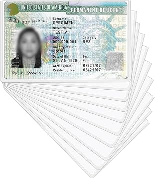 Green Card Holder,10PCS | Green Card Sleeves,Waterproof and Reusable for Medicare License Social Security and ID Card