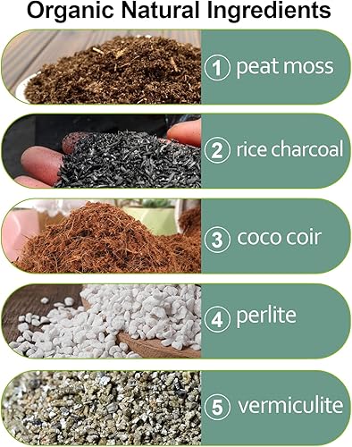 Miniatura 5 de Sphagnum - Mezcla de musgo de turba, mezcla natural para macetas de bonsái, tierra para macetas de suculentas y cactus, enmienda y medios de cultivo