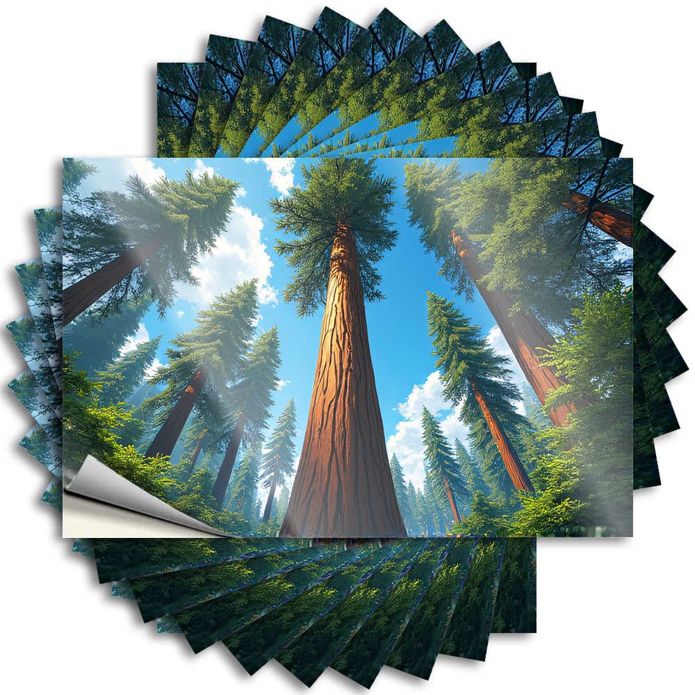 Abipuir Stickers for Your Car Sequoia Forest: Majestic Trees Under Blue Sky Stickers 10Pcs Stickers for Cars Bar Signs for Home Decor(8X12CM)