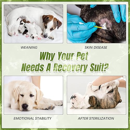Miniatura 7 de Kuoser Traje de Recuperación Quirúrgica para Perros, Traje Quirúrgico Anti-Lamido para Mascotas para Castración de Perros Machos, Traje de Cirugía