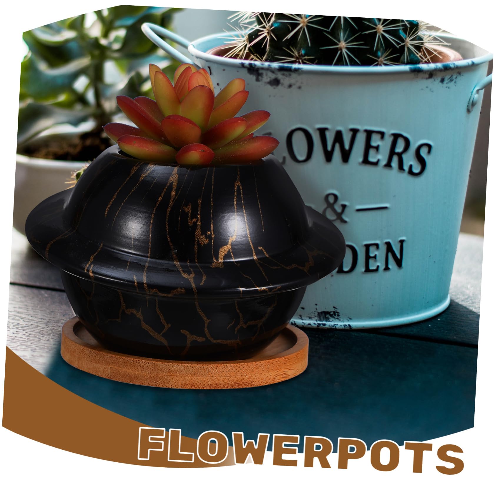 Amazon.co.jp: HAKIDZEL 1セット製 型多肉植物ポット 木製トレー付き