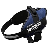 Julius-K9, Pettorina IDC Power