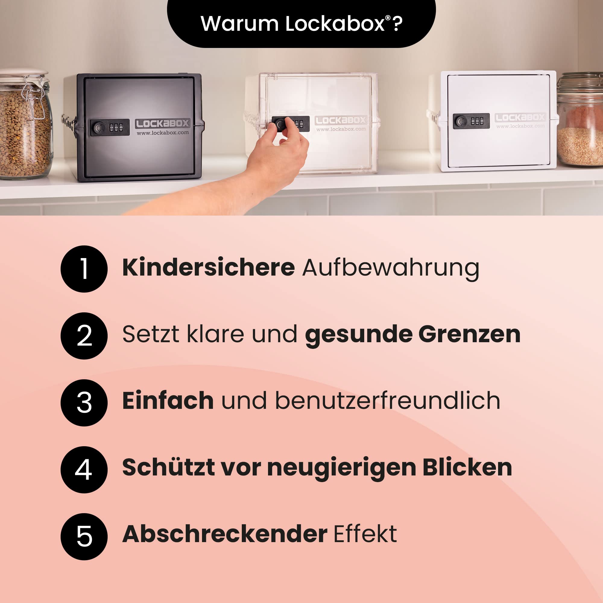 Lockabox One™ abschließbare Aufbewahrungsbox mit Zahlenschloss 31x21x17 cm Kristall