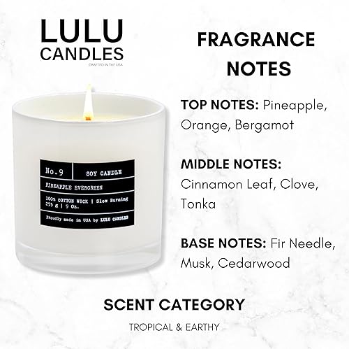 Miniatura 2 de Lulu Candles Piña Evergreen (9 onzas), Velas de alta calidad altamente perfumadas en caja de regalo para el hogar y la oficina, vela en tarro de