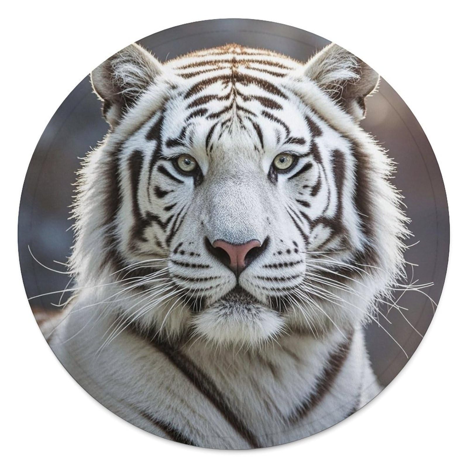 Couverture ronde tigre blanc en peluche douce de Noël