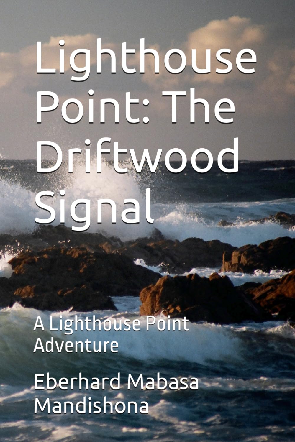 Lighthouse Point: The Driftwood Signal: A Lighthouse Point Adventure (A Lighthouse Point Adventure Book One)
