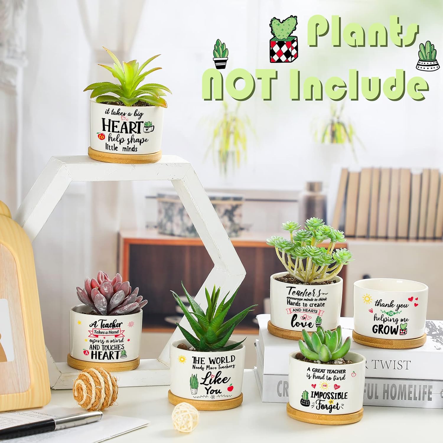 Potchen 6 Pcs Teacher Appreciation Gifts Funny Succulent Pots with Bamboo Tray End of Year Teacher Gifts Graduation Thank You Planter Accessories for Women, Coworker