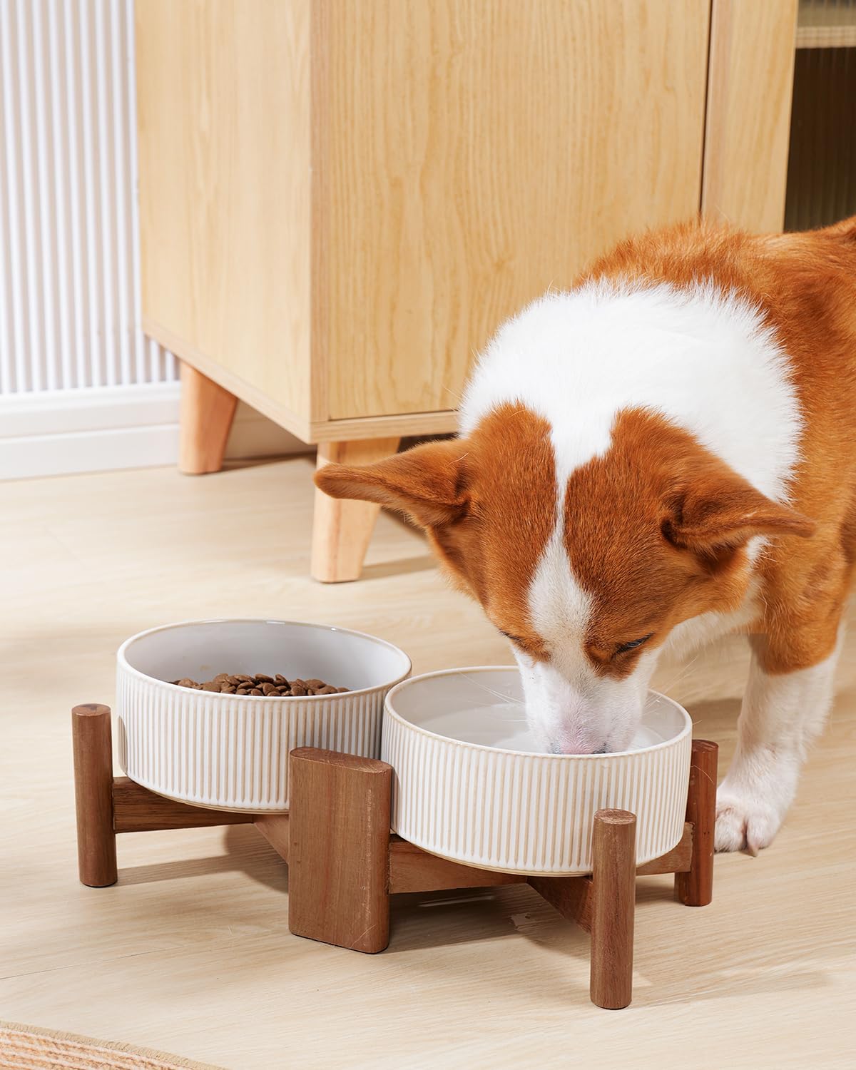 ant away cat food bowl Anti-Ant Ceramic Food and Water Bowl  Murphy & Bailey