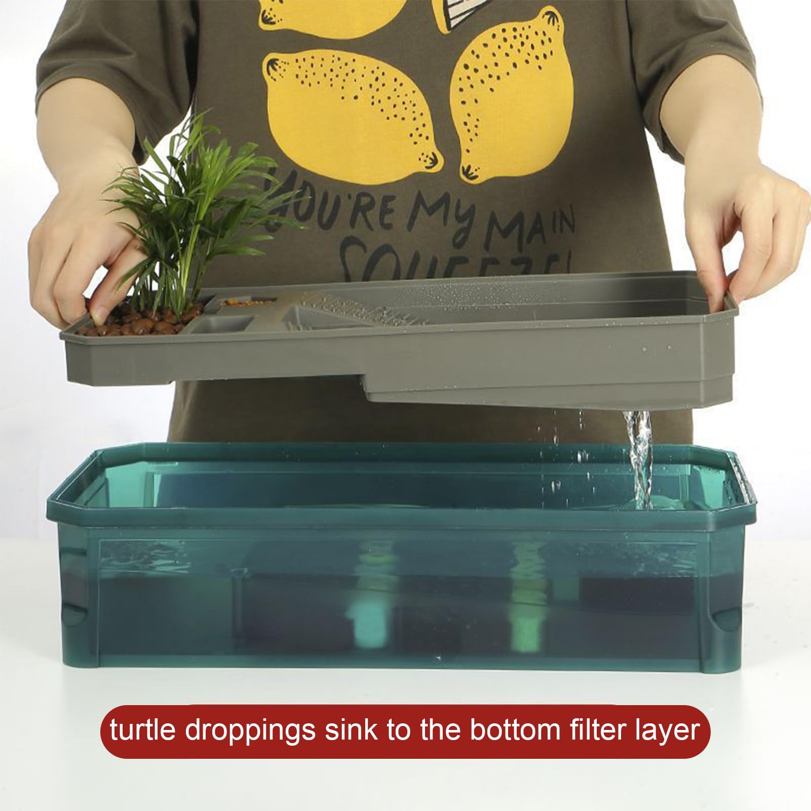Terrarium Dla żółWi Akwarium Dla żółWi Kompletny Zestaw z Platformą do Wygrzewania, Rampą, OśWietleniem LED, łAtwym OdpłYwem Dla MałYch żółWi LąDowych White Large