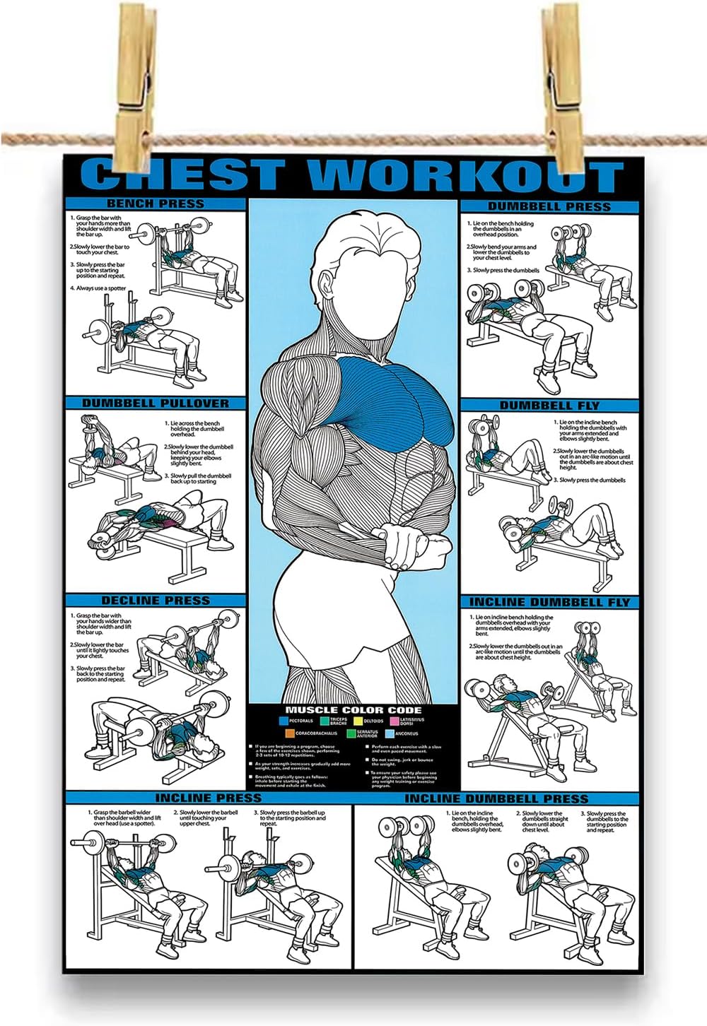Palace Learning Palace Learning Dumbbell Workout Exercise Poster - Free ...