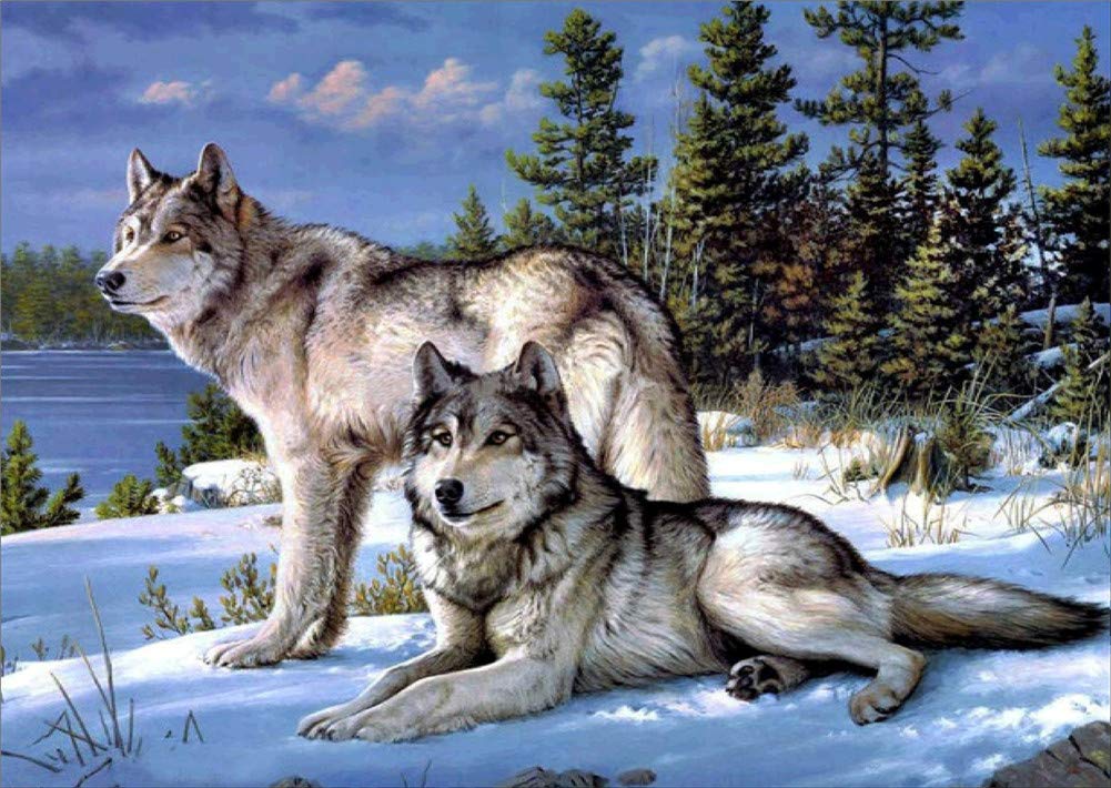 New 5D Diamond Painting Kits for Adults Kids, Awesocrafts Wolves On Snow Full Drill DIY Diamond Art Crystal Rhinestone Paint by Diamonds Cross Stitch (Wolves)
