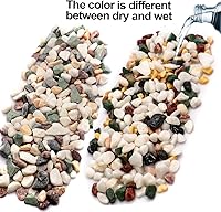 Vista 5 de TOYPOPOR Piedras de grava para suculentas y cactus de 6 libras, piedras pulidas decorativas naturales de 1/5 pulgadas, rocas de río para plantas