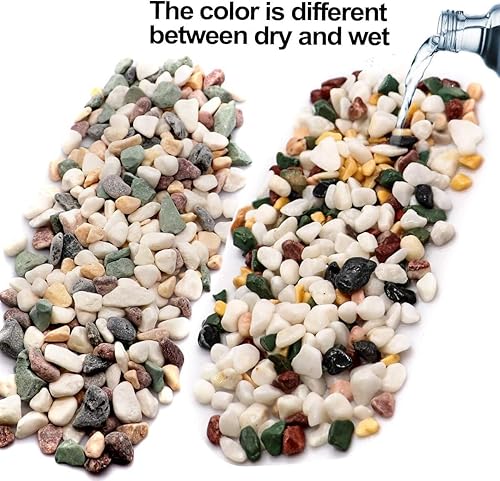 Miniatura 5 de Piedras de grava para suculentas y cactus de 6 libras, piedras pulidas decorativas naturales de 15 pulgadas, rocas de río para plantas, jarrones,