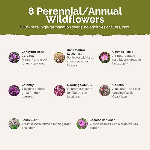 Miniatura 3 de Eden Brothers Pretty in Pink - Semillas mixtas de flores silvestres para plantar, 14 libras, más de 120,000 semillas con Candytuft, malva rosa
