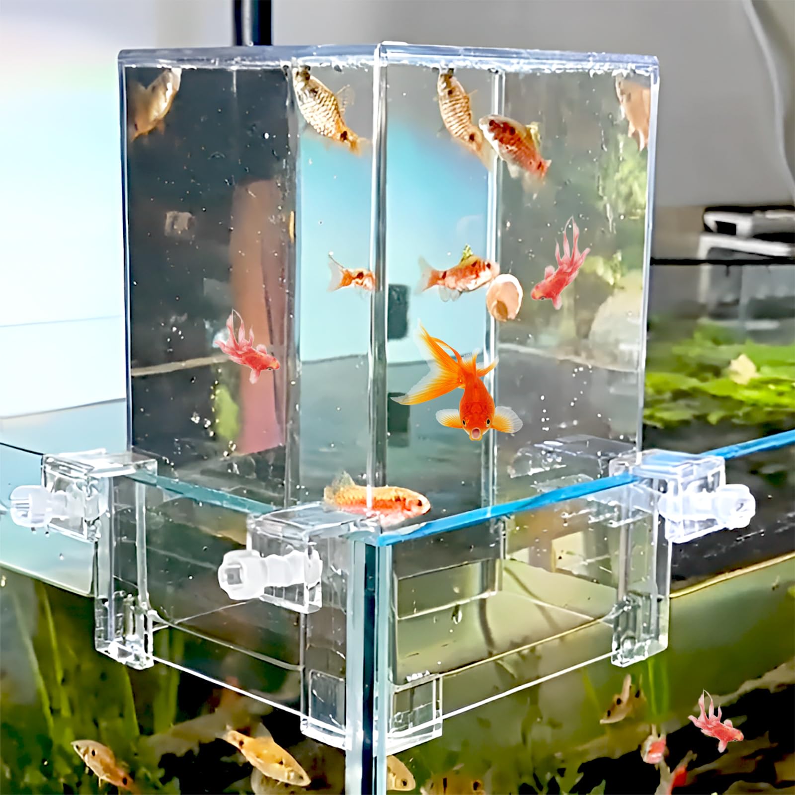 Torre de peces de presión negativa de acrílico, acuario de extensión de aire, acuario suspendido al vacío para paisajismo ecológico, piscina de peces de agua con reposición de agua para el hogar