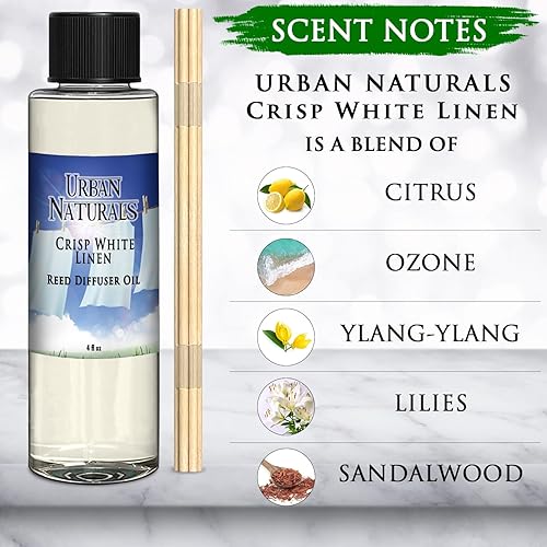 Miniatura 183 de Urban Naturals Reed Diffuser Oil Refill Ocean Mist Sea Salt with Salt Spray, Violet Leaf, Sea Grass, Driftwood 8 oz + Free Reed Sticks, Made in The