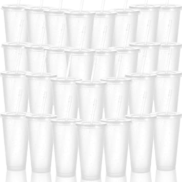30 Pack Tumblers with Lid and Straw Reusable Plastic Clear Cups Bulk Water Bottles 24 Ounces Cups Travel Mug Cup for Iced Coffee Cold or Hot Drink Juices Birthdays Party Outdoor Use