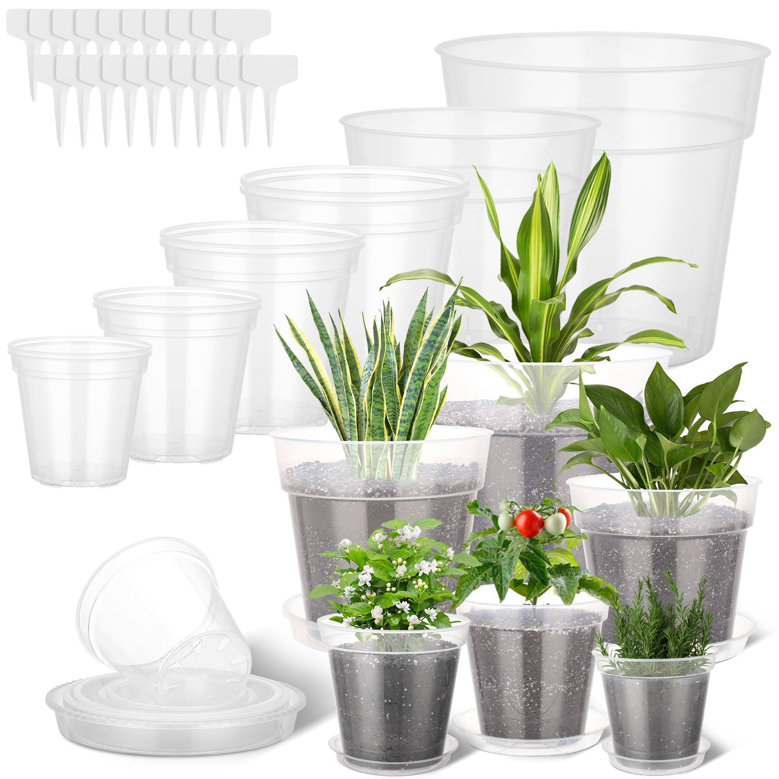 GREANER Lot de 16 grands pots à orchidée solides et robustes avec drainage en plastique transparent pour plantes de 15,2 cm, 17,2 cm, 22,4 cm, 25,4 cm, 25,4 cm, 30,5 cm