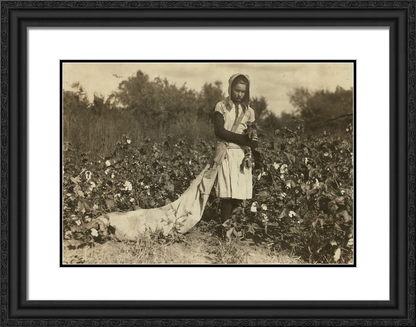 ArtDirect Hine, Lewis Wickes 24x19 Black Ornate Framed Art Print with Double Matting Titled: No Known Restrictions Picking Cotton 1916