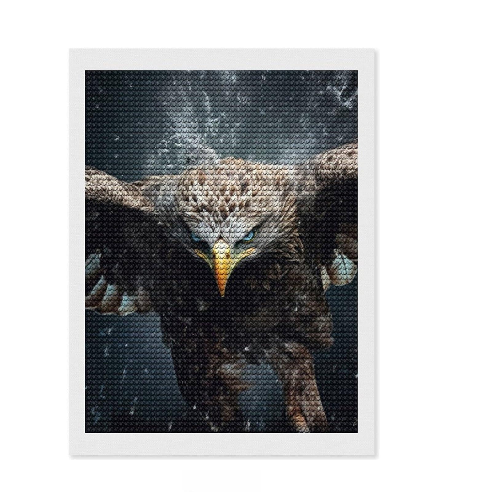 Junmoney Flying Eagle in Wild Diamond Art Canvas 12"x16", for Teens, Enjoyable At-Home Hobby, Office Decor, Gift Idea, Pleasing Wall Art Project