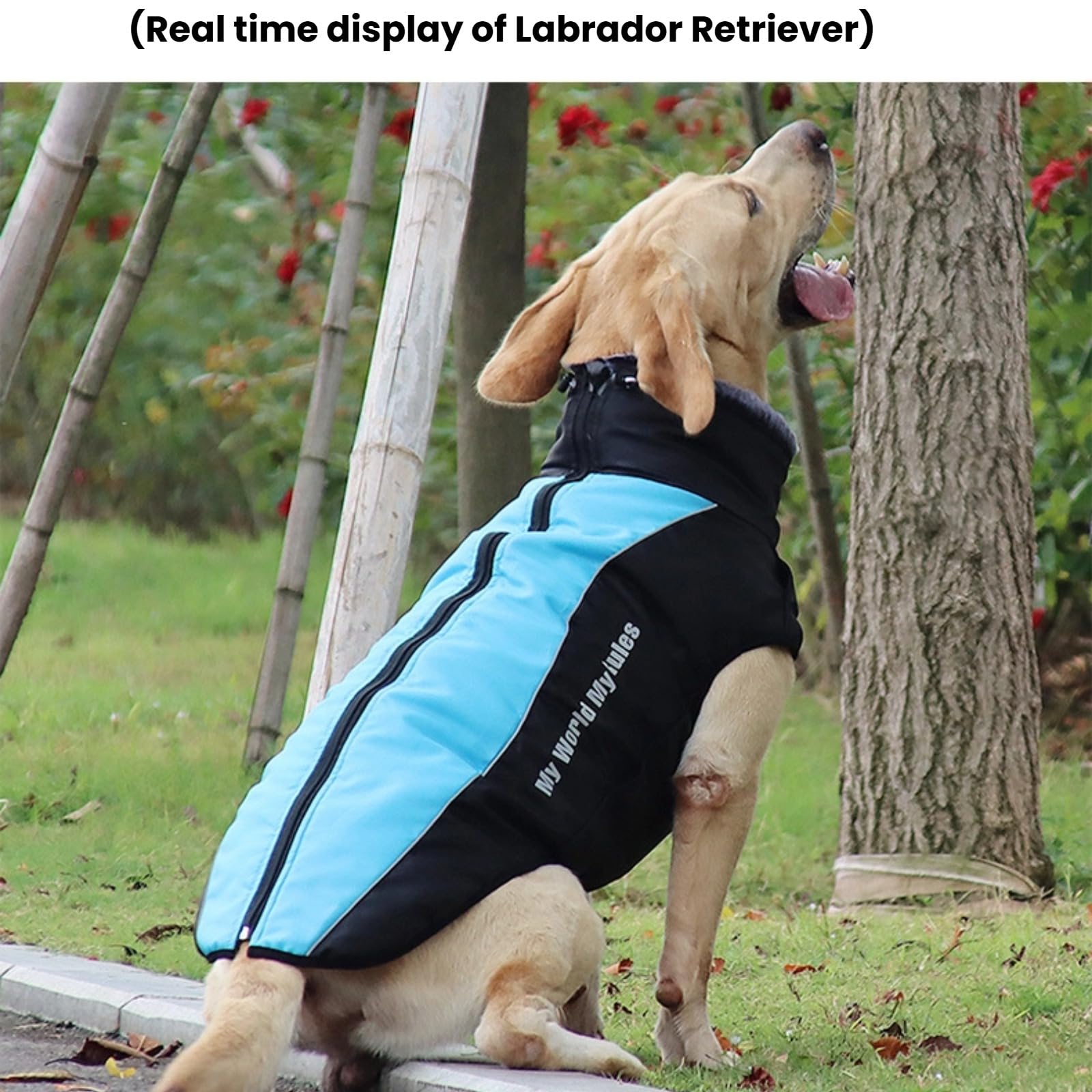 Manteau d'hiver épais et réfléchissant pour grand chien, coupe-vent, imperméable et doublé en polaire, facile à porter, blanc éclatant, taille 5XL