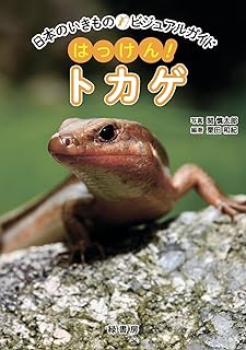 ウォータードラゴン・トカゲ飼育書