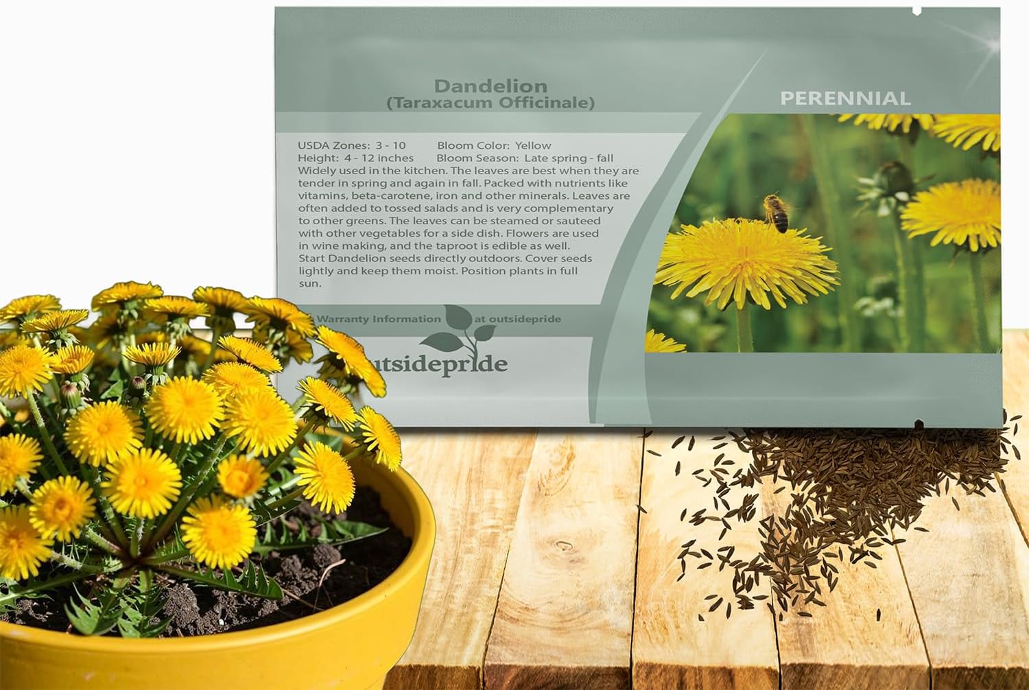 Outsidepride Dandelion Seeds for Planting - 5,000 Seeds Perennial, Easy to Grow & Drought Tolerant, Taraxacum Officinale Herb Seeds with Yellow Blooms for Edible Landscaping & Wildlife Attraction
