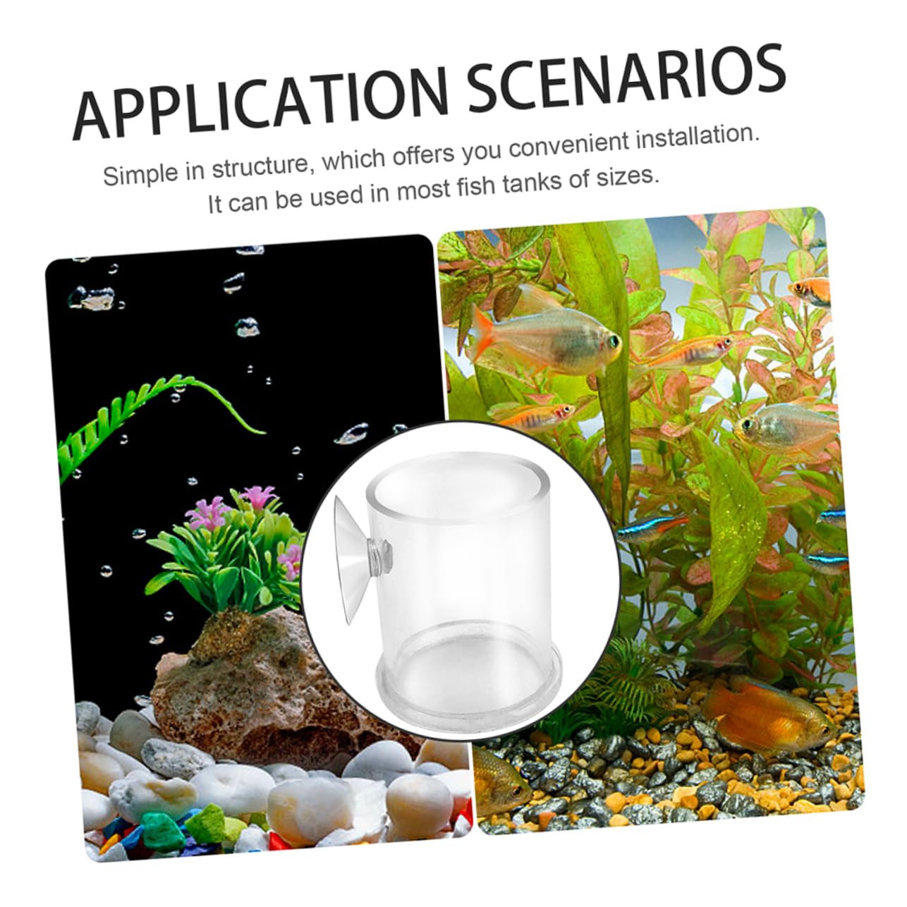 BESPORTBLE 5stücke Futterring Für Aquarien Futterring Für Fisch Und Garnelenfütterung Geeignet Für Süß Und Salzwasser Langlebig Aus Sicherem Acryl Vermeidet Futterverschwendung Und