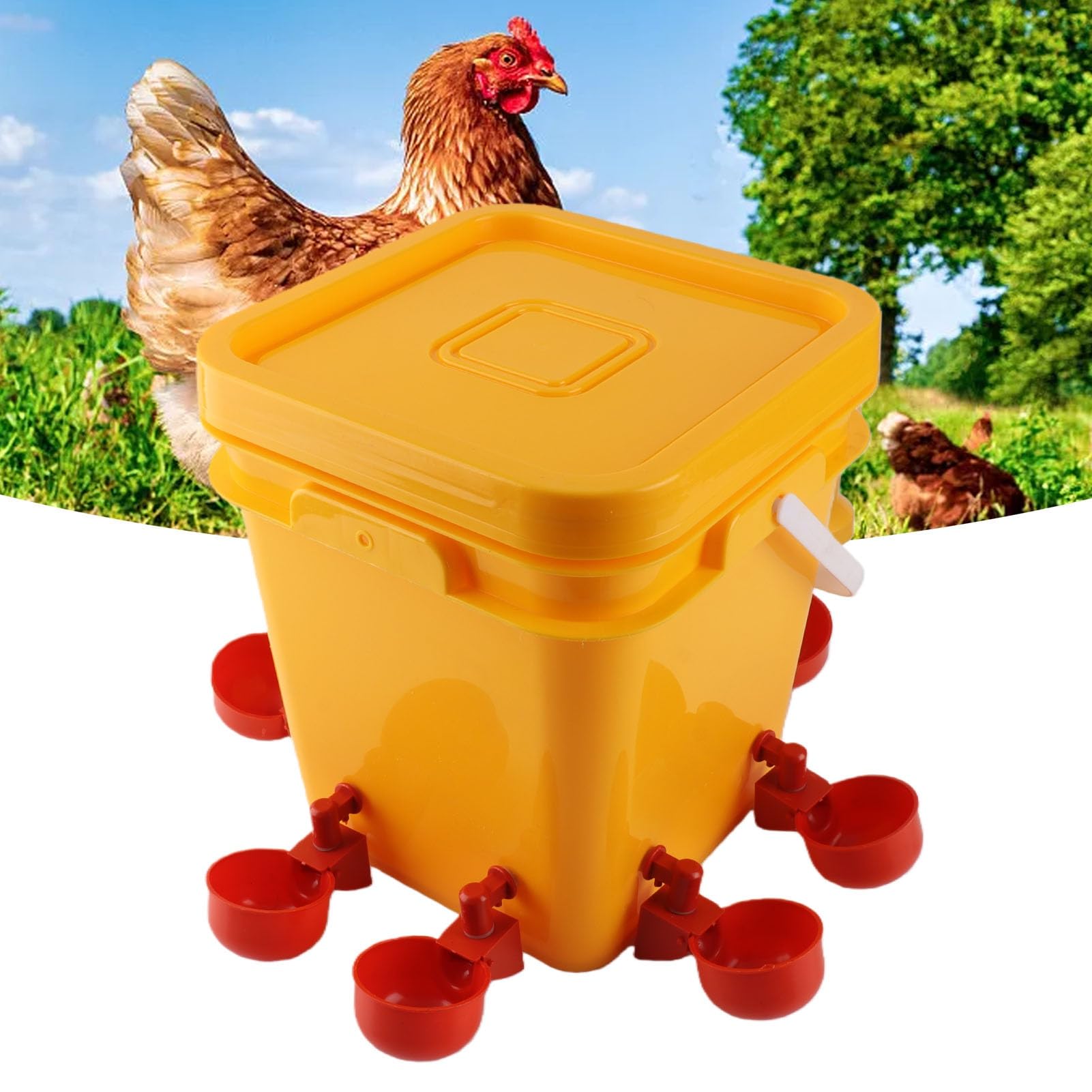 Bebedero Automático para Pollos con Barril de Mano de 12 litros, Equipo para Beber Aves de Corral para Pato Ganso, Bebederos para Pollos, Kit de Alimentador de Agua para