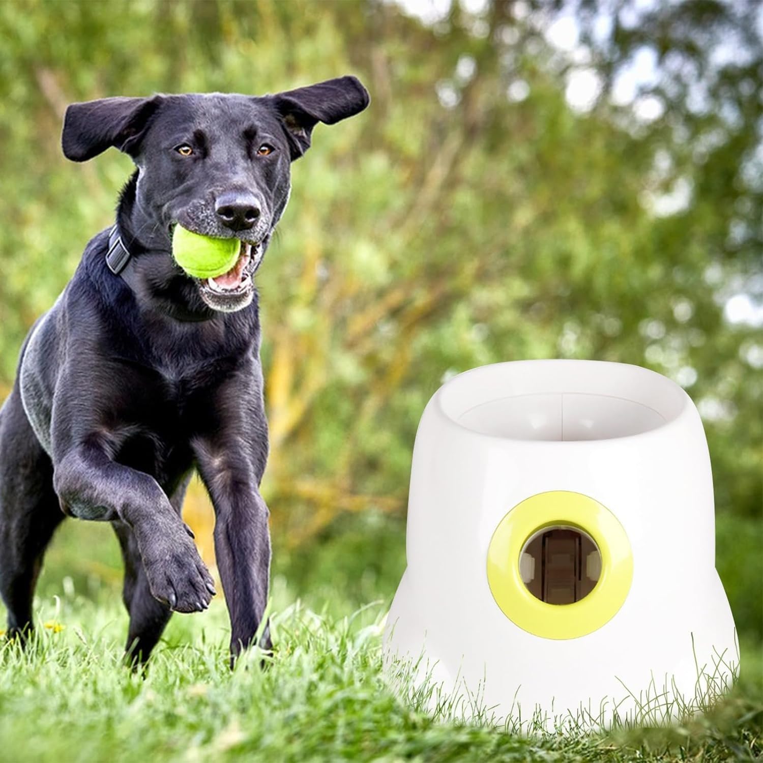 Lanceur Automatique De Balles for Chiens, Machine Interactive De Lancement De Balles De Tennis for Chiens De Petite Et Moyenne Taille, Jouet À Rapporter for Chiots, Excellent Exercice for