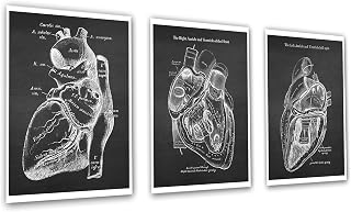 Gnosis Picture Archive Heart Anatomy Art set of 3 unframed Vintage Textbook Illustrations Gift for Cardiologist