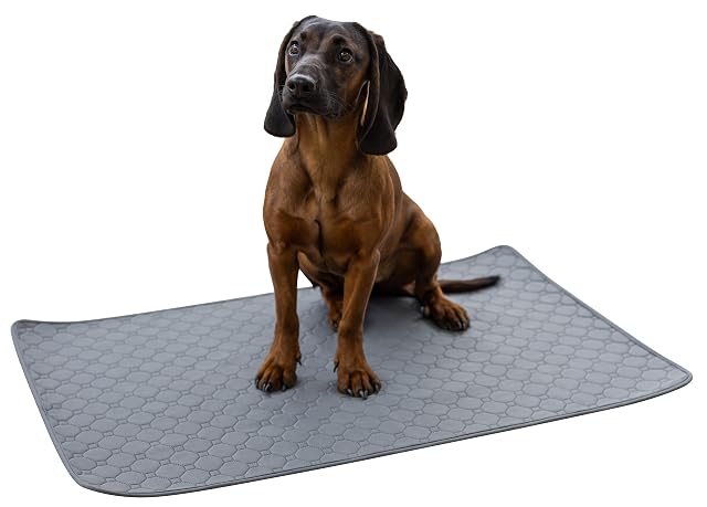Foto 2 de 5 de Kerbl Pet Almohadilla de orina Lavable, Gris, 115x75 cm, para Perros y Gatos, Malla, Cachorros