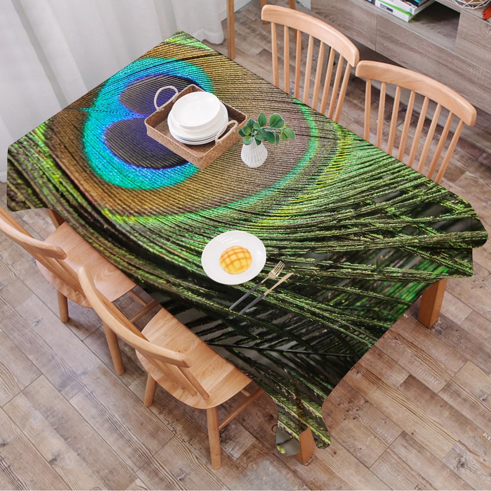 Dalexhm Peacock Feathers, Its Blue, Green And Brown - A7 Table Cloth Wipe Clean Rectangular, Wipeable Tablecloths,Dining Table Cover For Kitchen Outdoor Garden Table,Peacock Feathers, Its Blue, Green And Brown Feathers, Showcase Their Intr,54X72 In