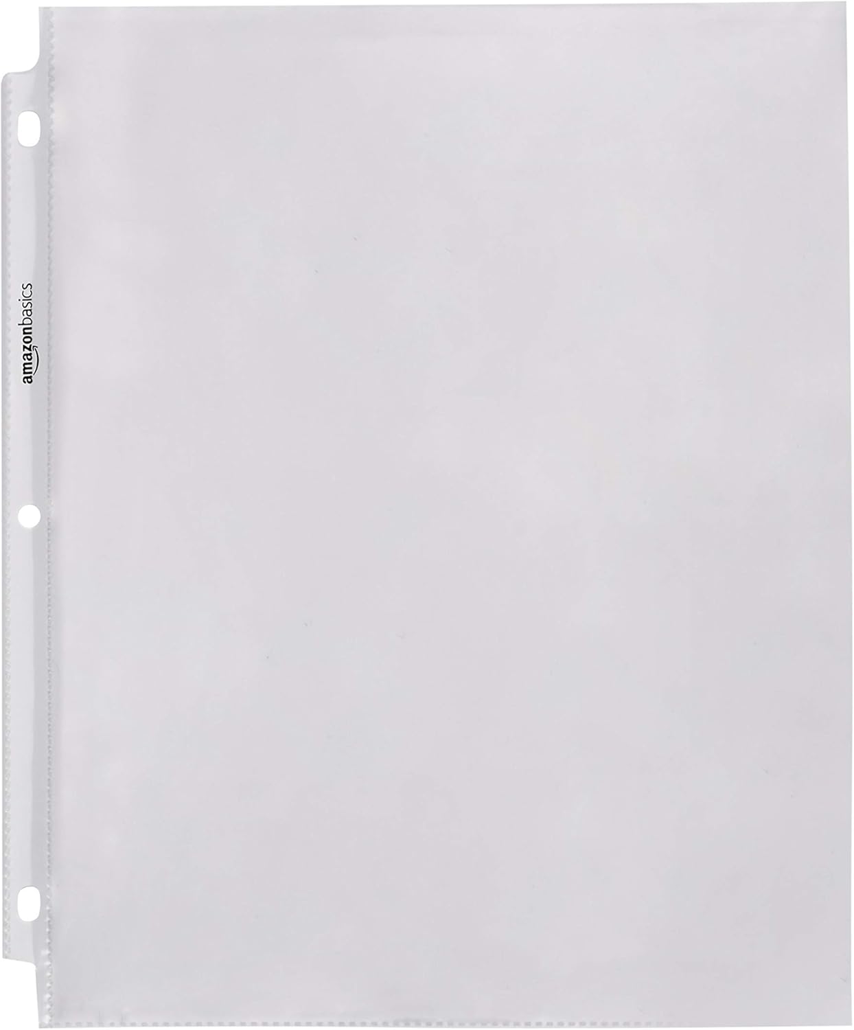  Basics Sheet Protector - Heavy Duty, 100-Pack : Office Products