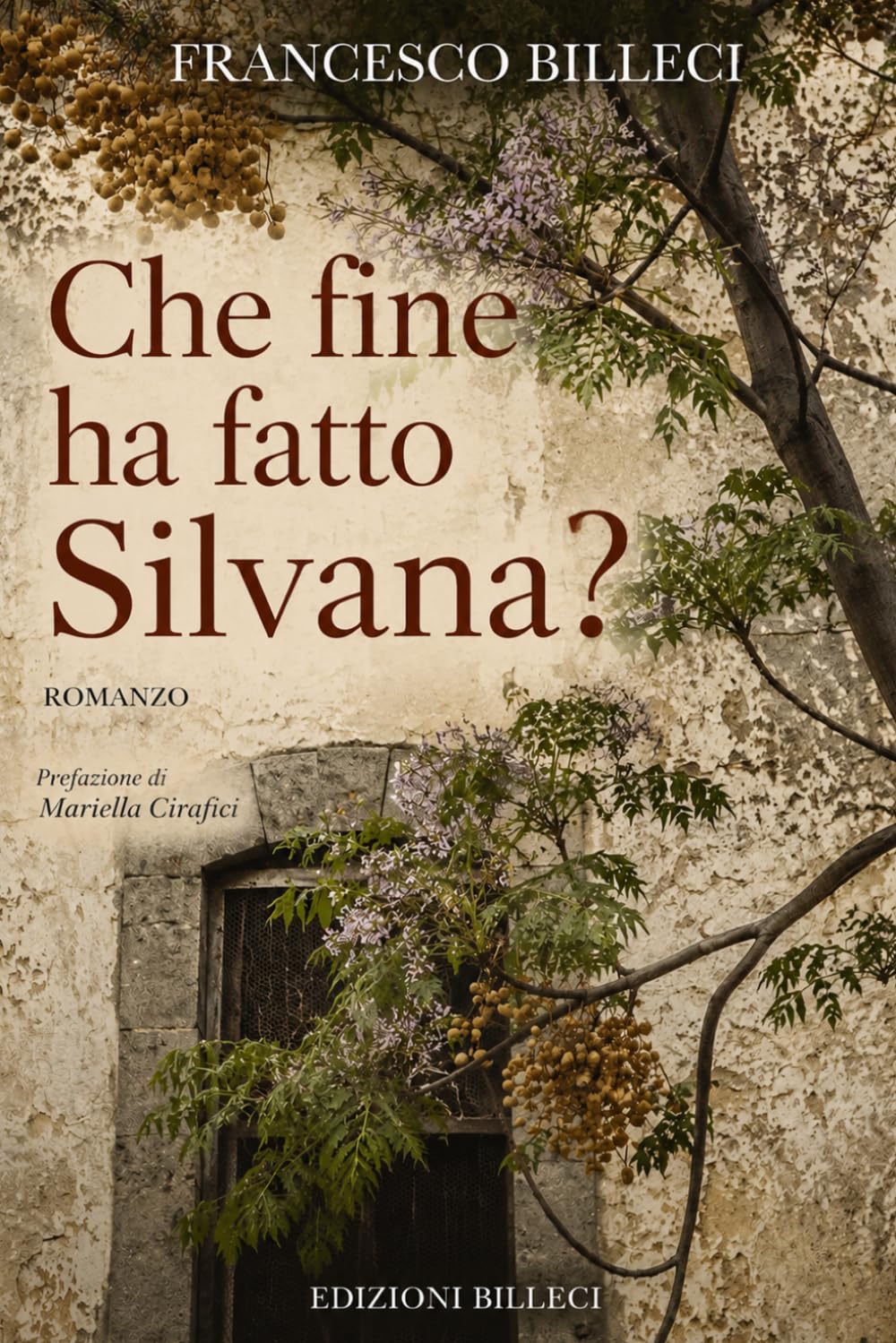 CHE FINE HA FATTO SILVANA?: ROMANZO