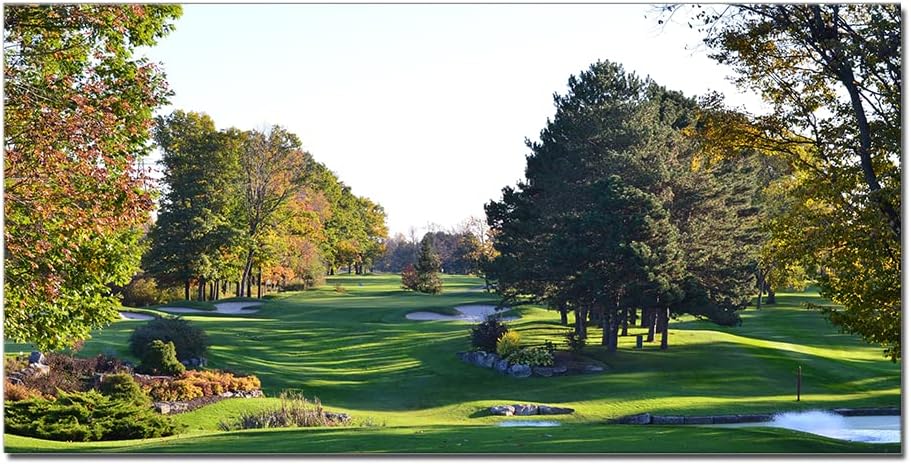 vbojhre Golf Course Hazards Grove Nature Large Picture Print Home Office Decor Pebble Tree Wall Art Frame Sport Themed Landscape for Men Room Gym Wall Decor 20x40inch 40L" x 20W" Golf Course Artwork