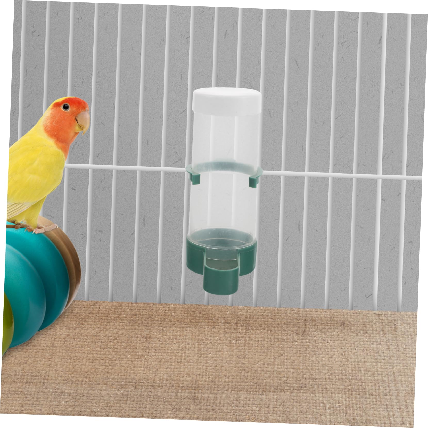 Yardwe 20pezzi Mangiatoia Per Uccelli Distributore Di Cibo Per Parrocchetti Canarini Fringuelli Inseparabili Autoalimentazione Caricamento Dall Design Specifico Per Uccelli Applicazione f