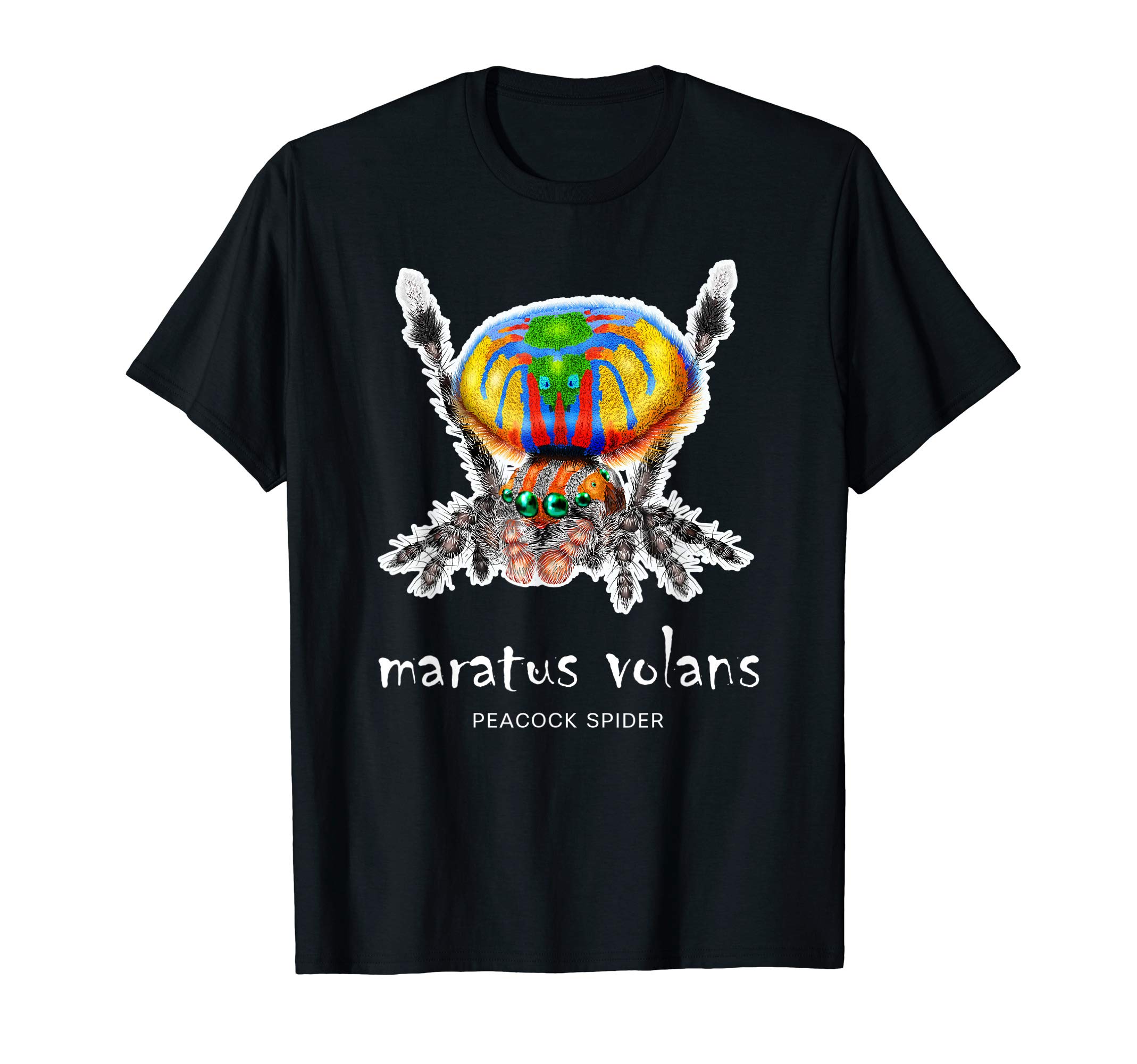 Peacock Spider Maratus Volans T-ShirtOEKO-TEX STANDARD 100