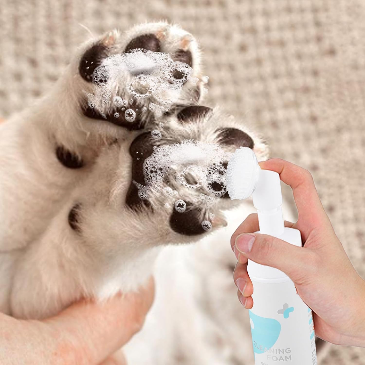 Pfotenreiniger, Haustier Fu?reinigungsschaum Wasserloses Haustier Shampoo mit Silikonb¨¹rste f¨¹r Hunde Katzen F¨¹?e Reinigung