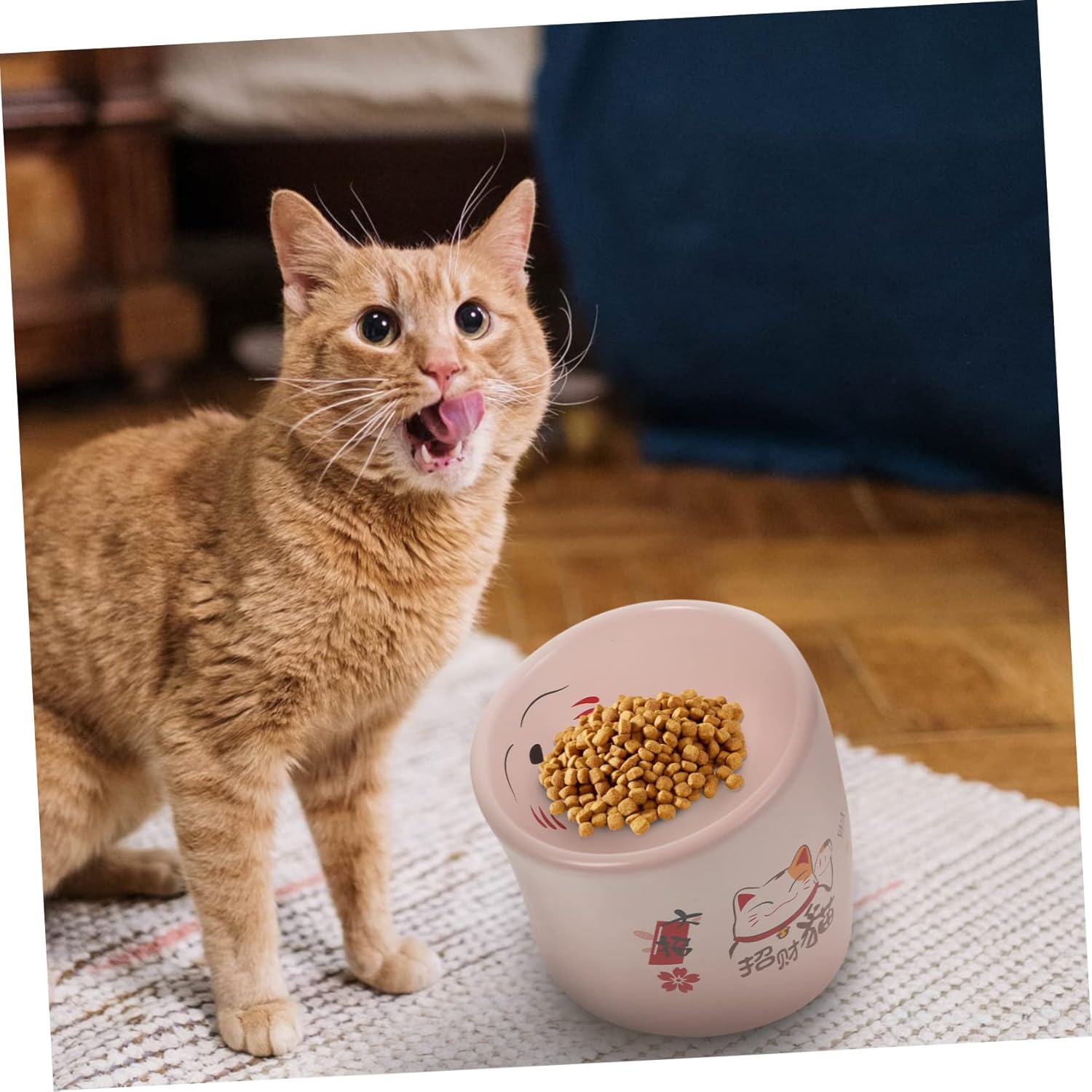 BESPORTBLE 1pc Elevated Ceramic Cat Bowl Base Comfortable Feeding for Cats and Kittens and and Water