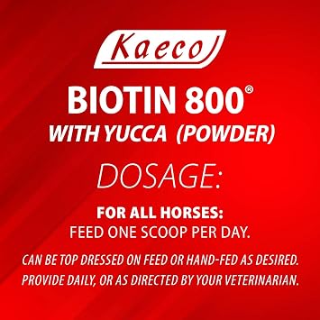 Biotin 800 Powder