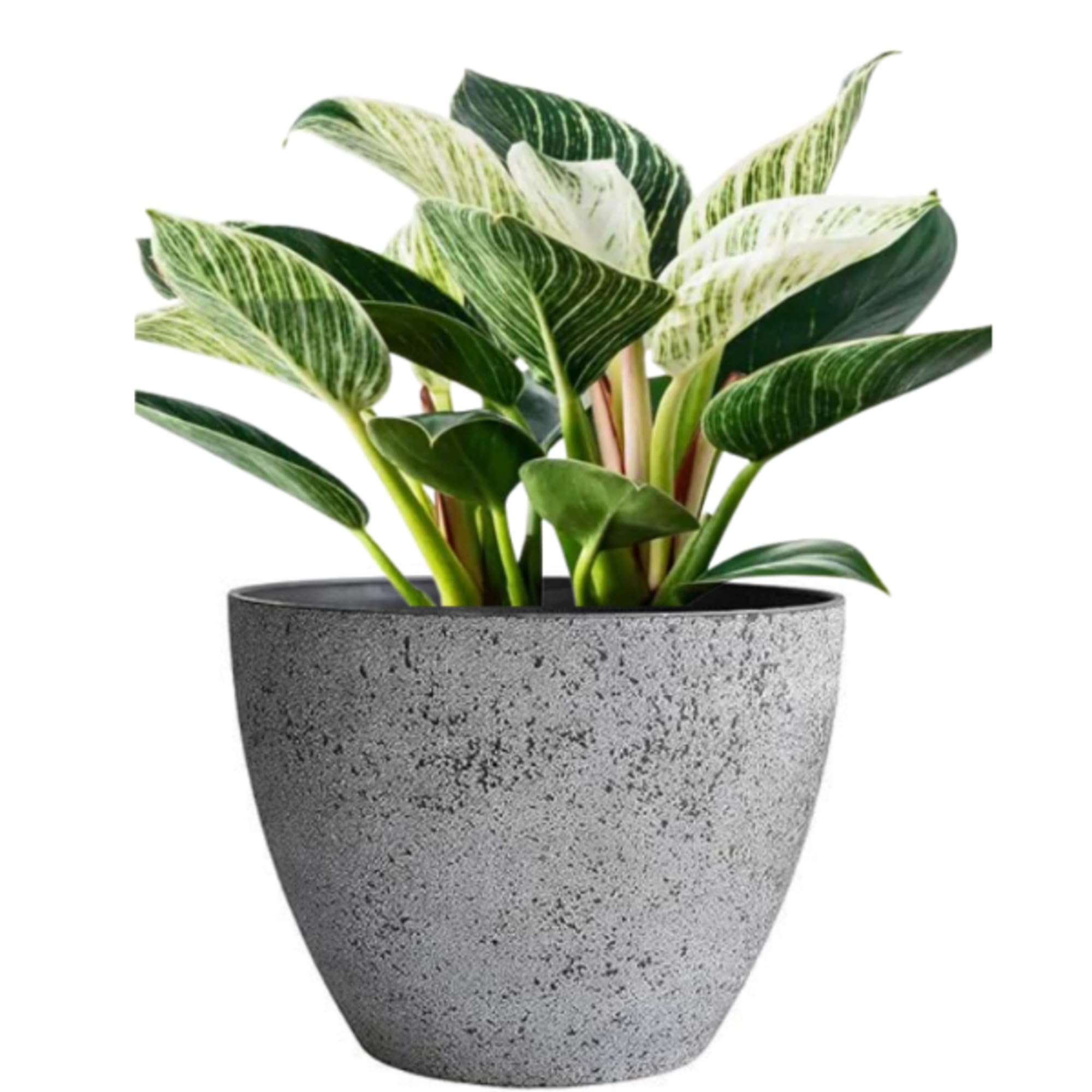 Garden Art (Pack of 1 Fiber Pot (D-36,H-27 CM) Outdoor,Indoor Decor,Plants Pots for Your Home,Unbreakable,Durable, Kitchen and Table Top Planters GA-39C-008 (B0CH32P76T) Amazon Price History, Amazon Price Tracker