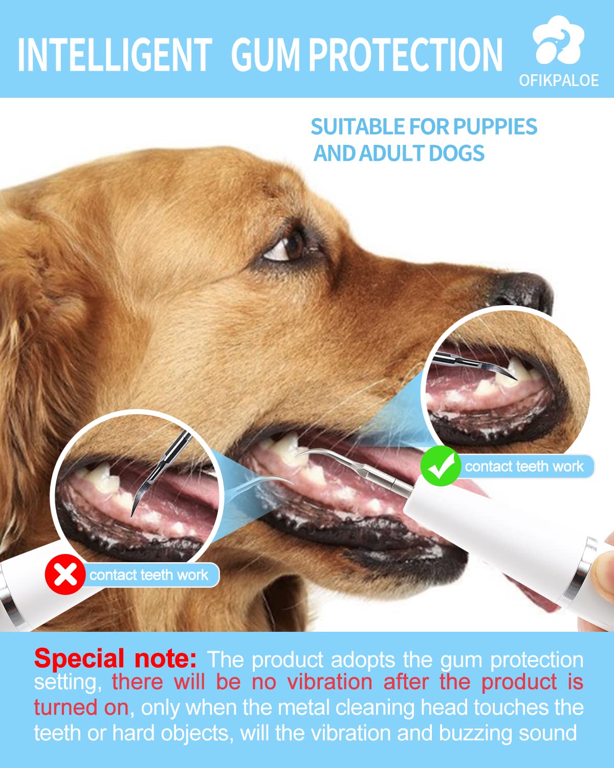 How Often Should I Clean My Dogs Teeth